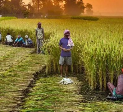 Budget 2022: Rs 2.37 Lakh Crores MSP To Be Paid To Farmers, Focus Directs On Agri-Tech