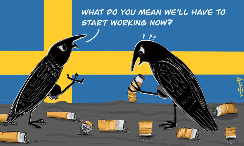 Swedish Firm Trains Crows To Pick Cigarette Butts In A Bid To Protect Environment